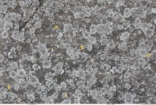 Photo Textures of Wood